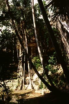 Cenote Xtojil