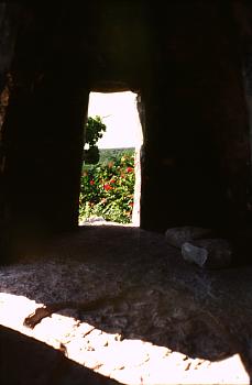 Tulum - Observation tower