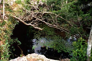 Grand Cenote