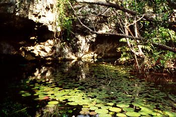 Grand Cenote