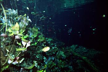 Grand Cenote