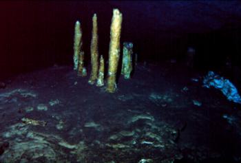 Cenote Ponderosa - Stalagmiti