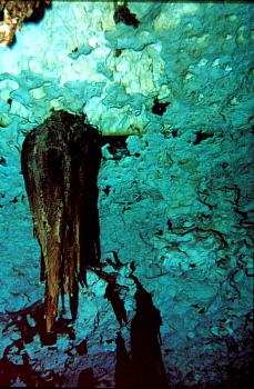 Cenote Ponderosa