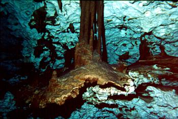 Cenote Ponderosa