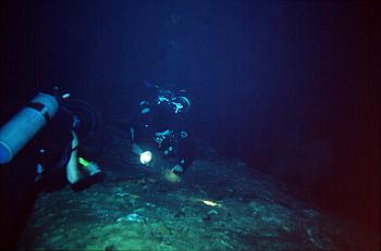 Cenote Ponderosa