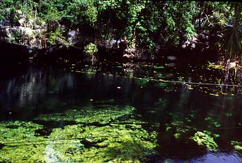 Cenote Azul