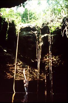 Young Cenote