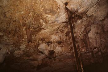 Cavern Cenote