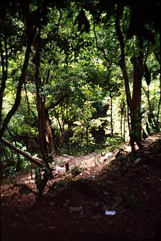 Cenote Xtoloc