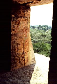 Cenote Xtoloc Area